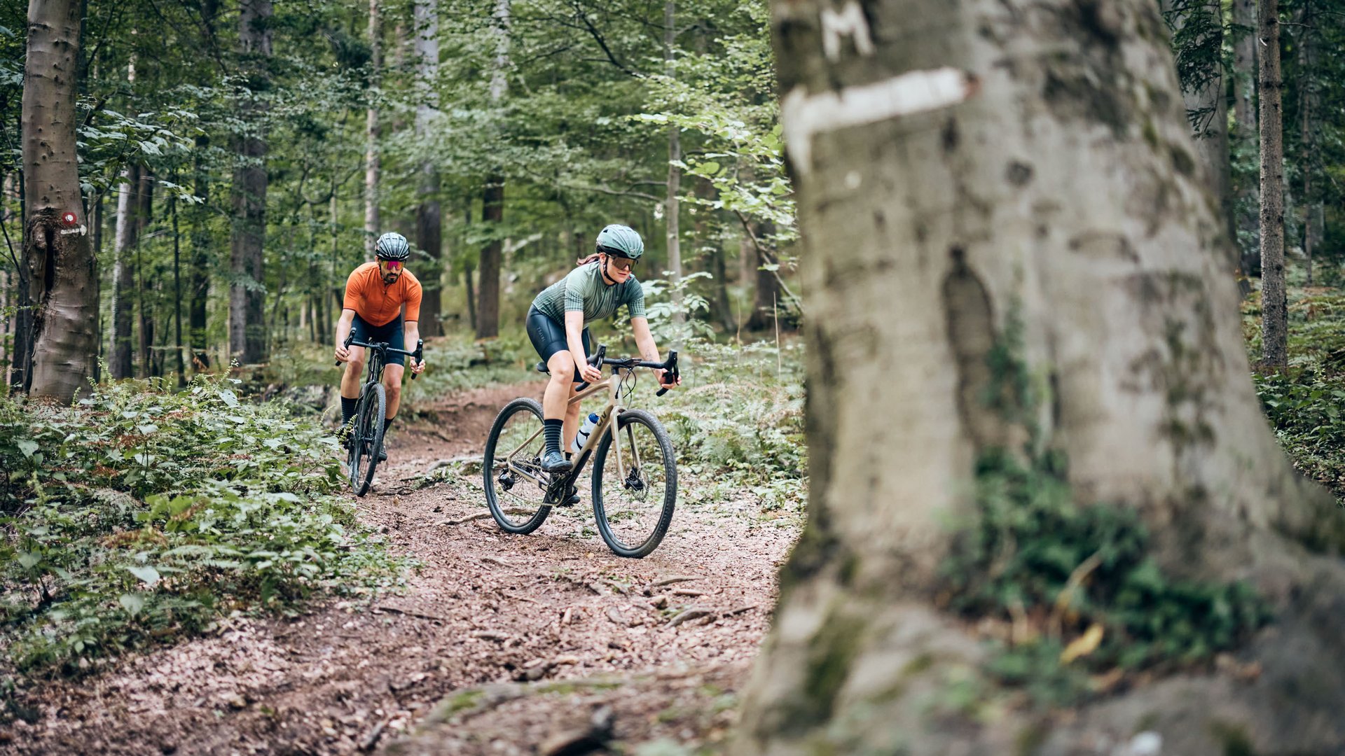 Gravelbike Holidays © Tobias Köhler Zwei Radfahrer fahren auf einem Waldweg auf Mountainbikes